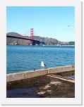5_Golden Gate Bridge (05) * Dito * 2304 x 3072 * (3.69MB)